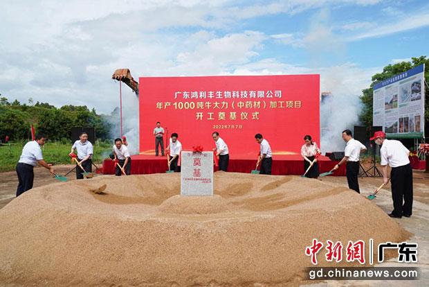 领导嘉宾为鸿利丰公司牛大力加工项目培土奠基。（刘炉慎 摄）