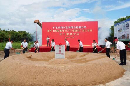 广东兴宁：年产千吨牛大力加工项目开工，加快乡村全面振兴