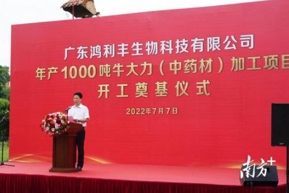 年产1000吨！牛大力（中药材）加工项目在兴宁开工奠基