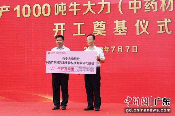 年产1000吨牛大力加工项目在广东省兴宁市开工奠基